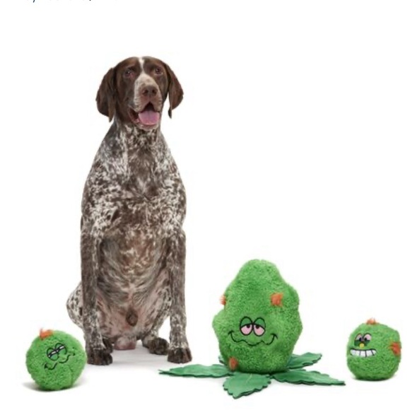 NEW BARK RIP VAN DANKLE MUTI PART RIP & REVEAL DOG TOY-MED/LRG MORE LIKE L/XL❣️ - Picture 2 of 13